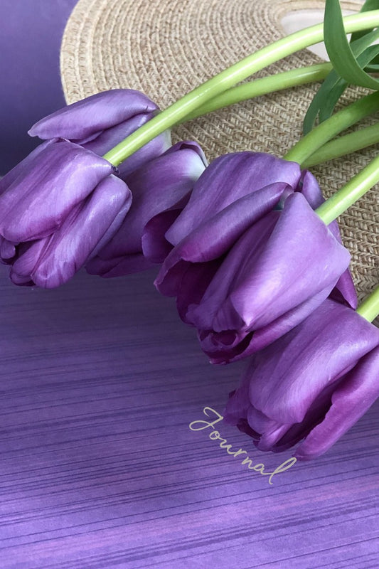 Purple Tulips Journal